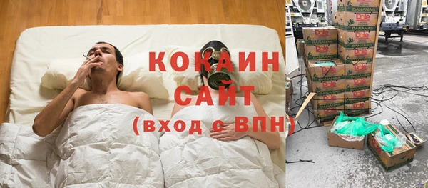гашик Зерноград