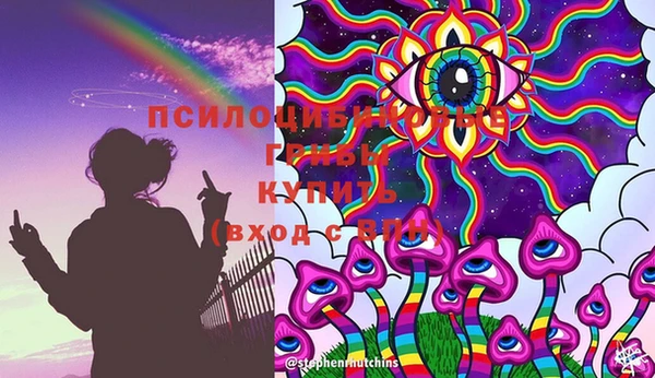 гашик Зерноград