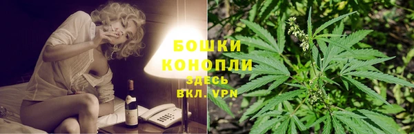 гашик Зерноград
