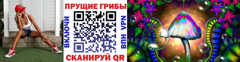 Купить  Южно-Сухокумск  Галлюциногенные грибы MAGIC MUSHROOMS 